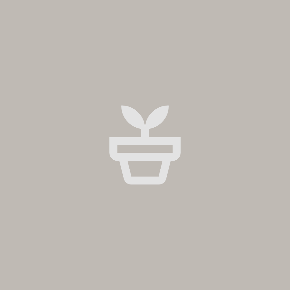 Website Template 04