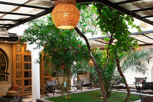 Living with Nature: The Beauty and Benefits of Biophilic Design